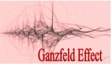 Ganzfeld-Rauschfrequenz | Ganzfeld-Session